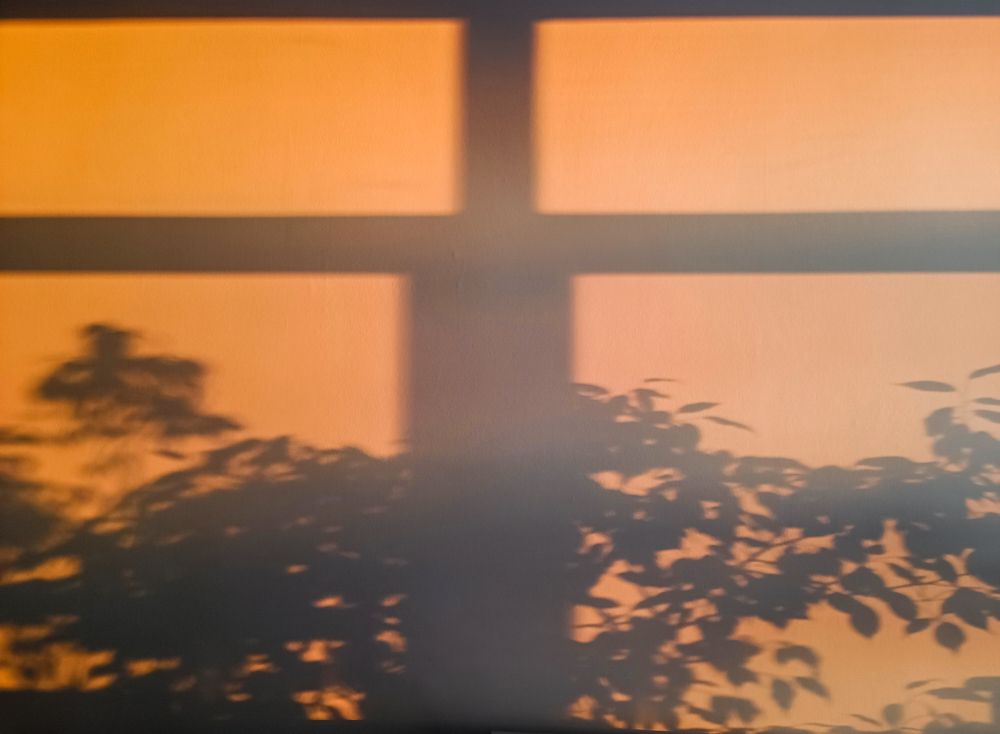 Photograph by Викулов Сергей