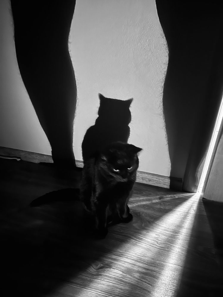 Photograph by Алексей Большаков