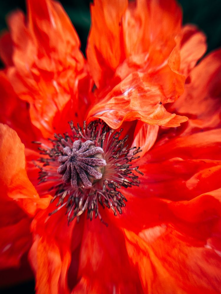 Photograph by Дарья Андреева