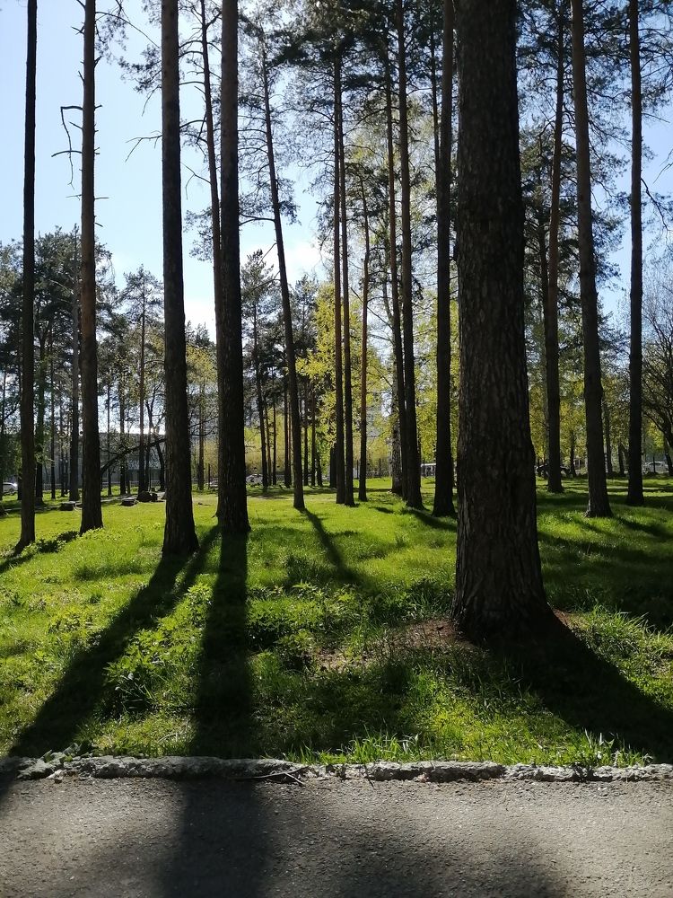 Photograph by Наталия