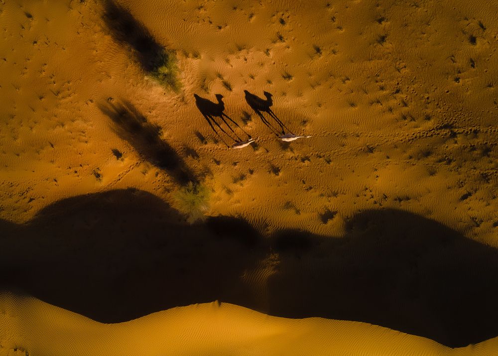 Photograph by Zubair Irshad