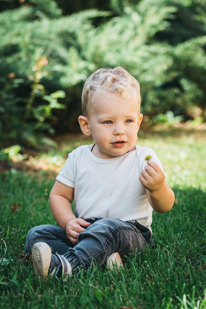 Фотография автора Ольга Тенилова