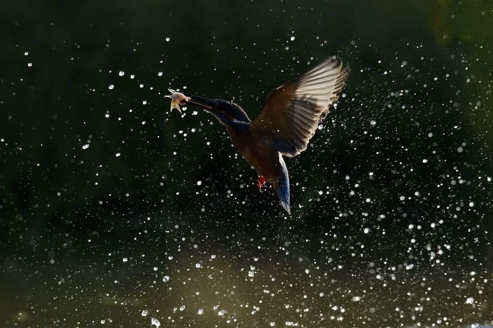 Photograph by Nguyen Van Thanh