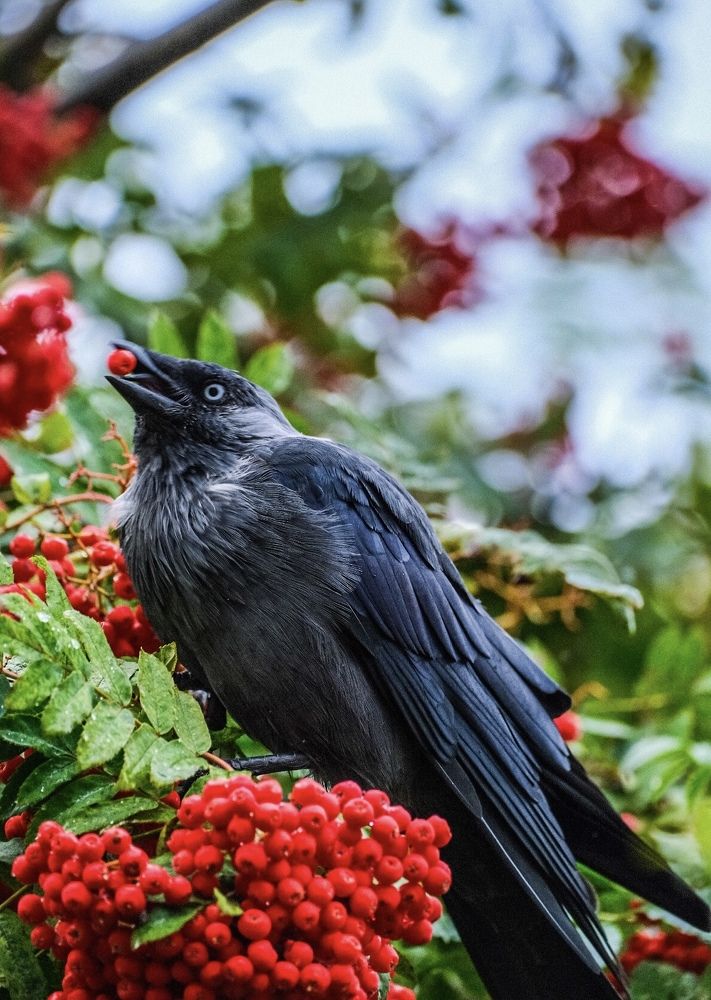 Photograph by Алексей Большаков