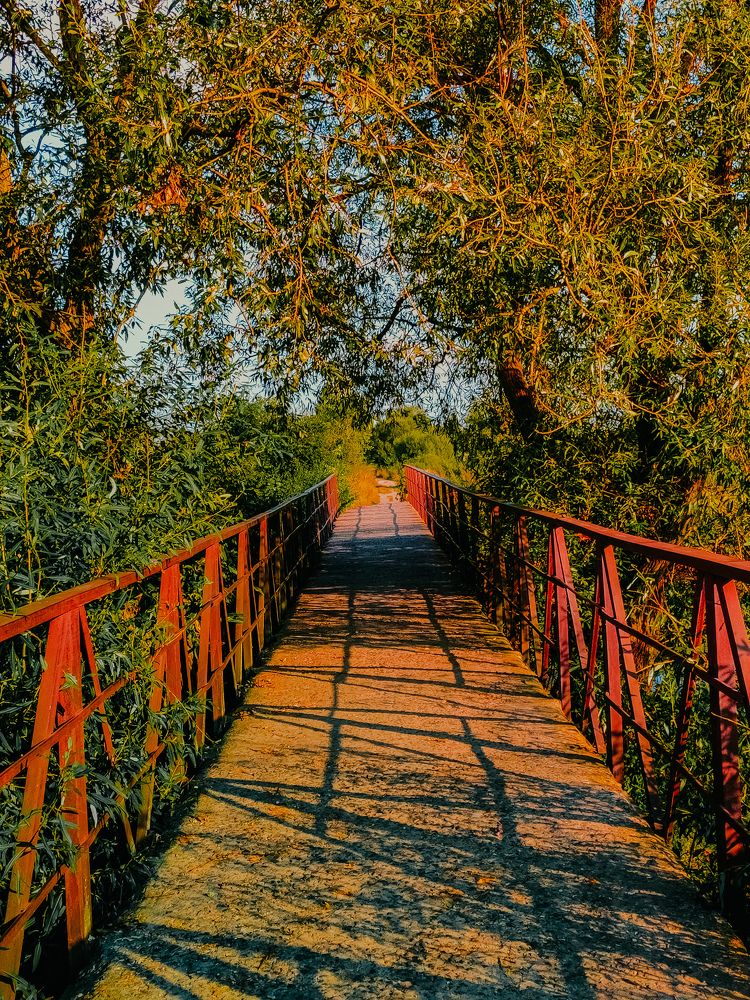 Фотография автора Алиса Исаева