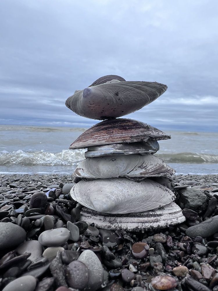 Photograph by Kira Ko