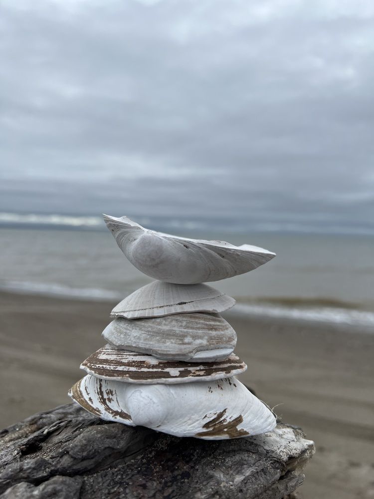 Photograph by Kira Ko