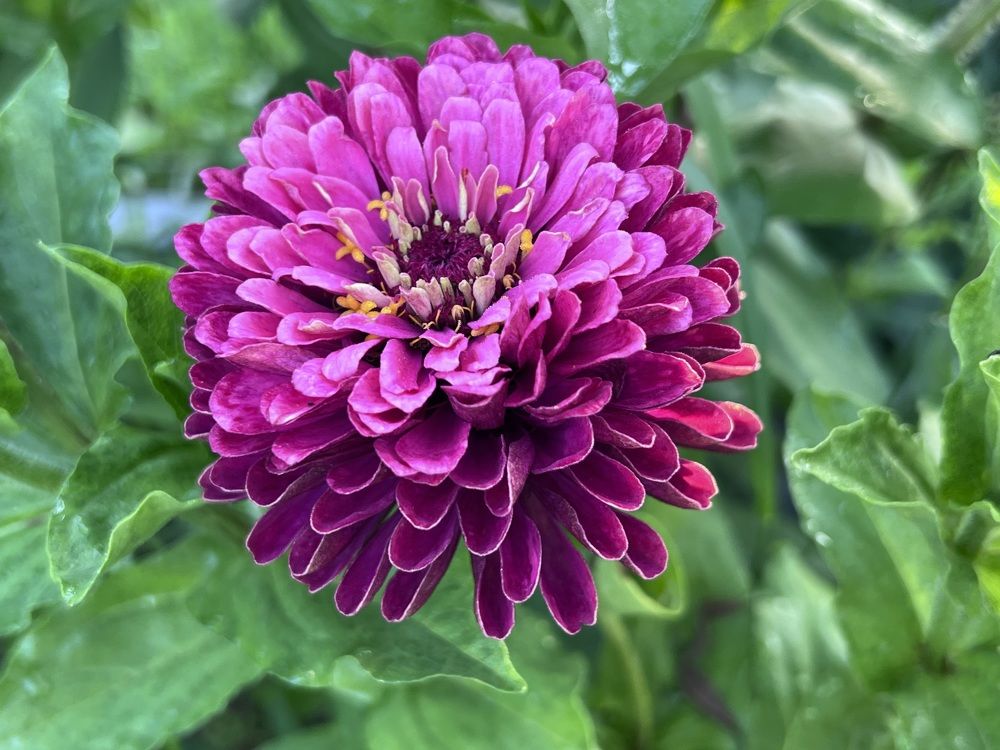 Photograph by Kira Ko