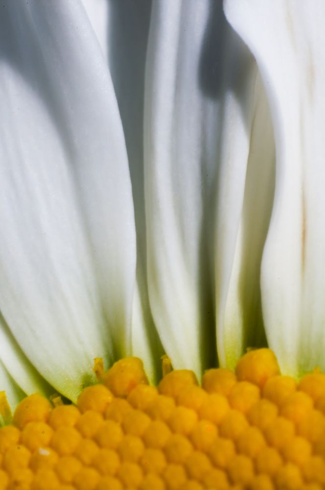 Photograph by Роман Приходько