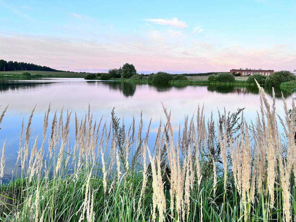 Photograph by Kira Ko