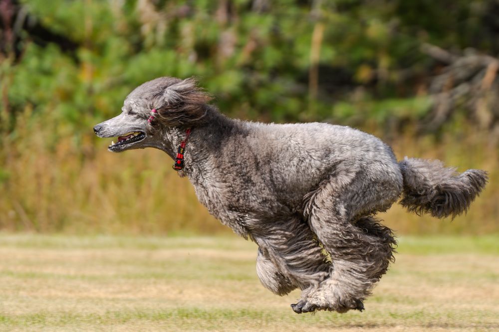 Photograph by Сергей Жиркевич