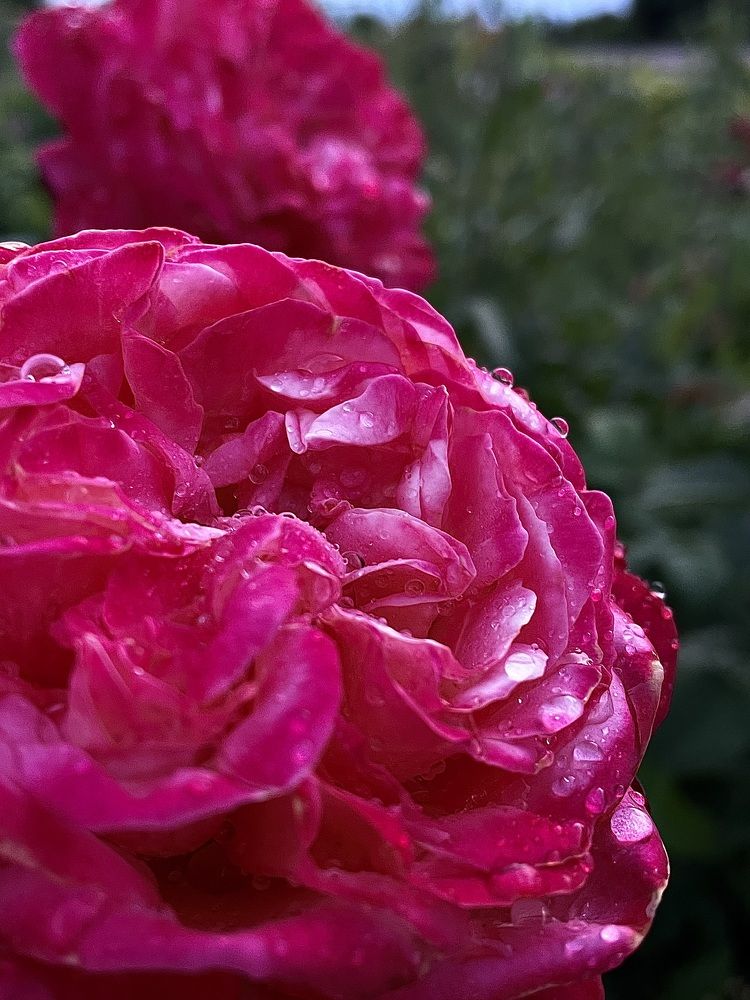 Photograph by Наталия Мальцева