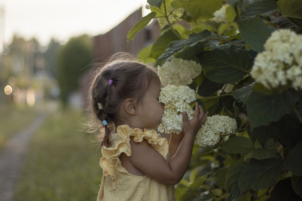 Photograph by Алеся Бобкова