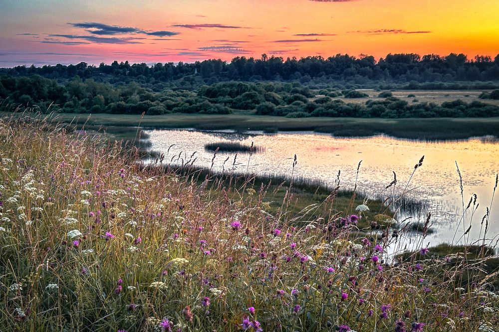 Photograph by Елена Герасимова