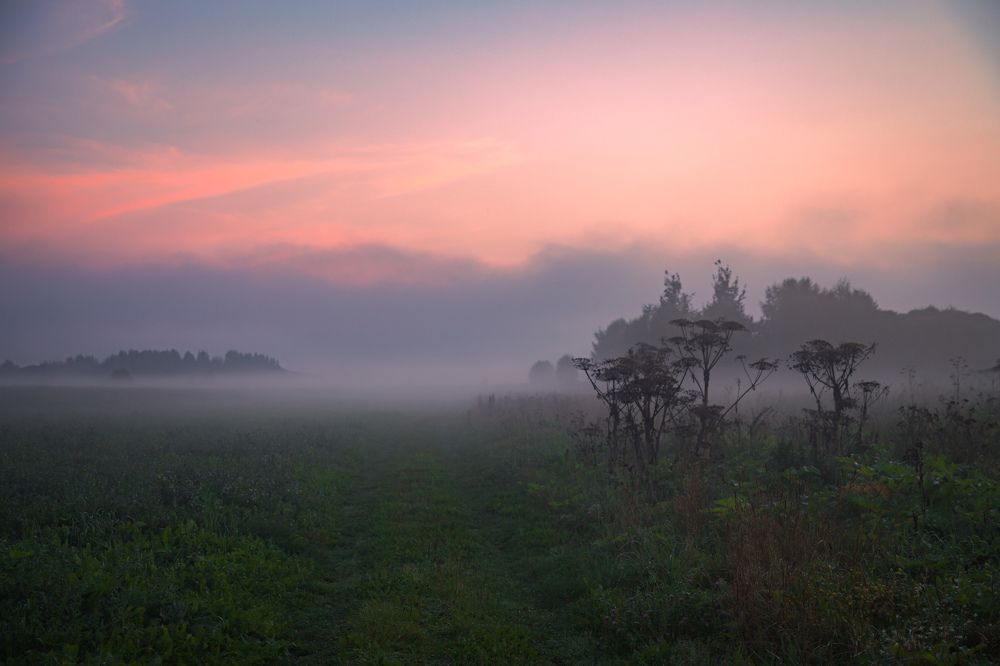 Photograph by Елена Герасимова