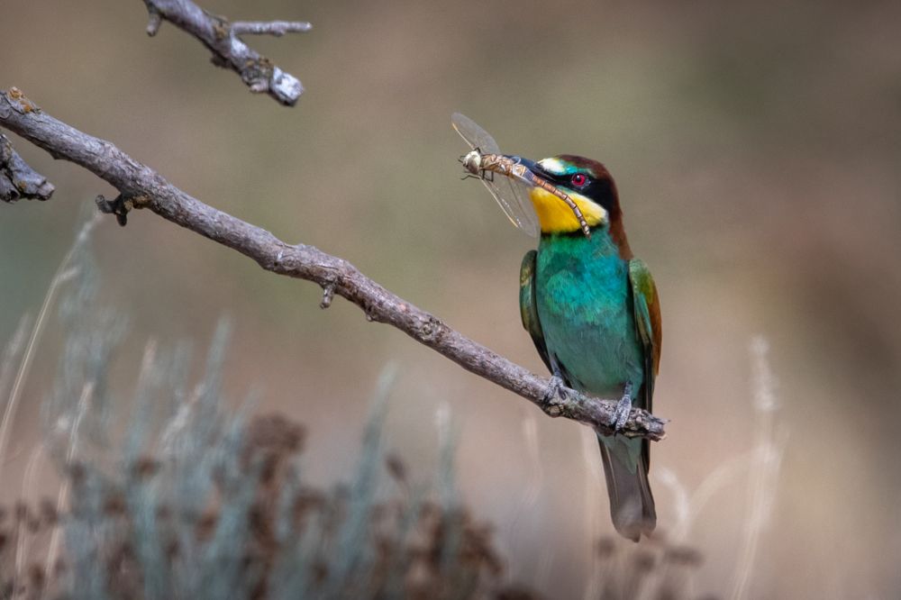 Photograph by Анна Стрелковская