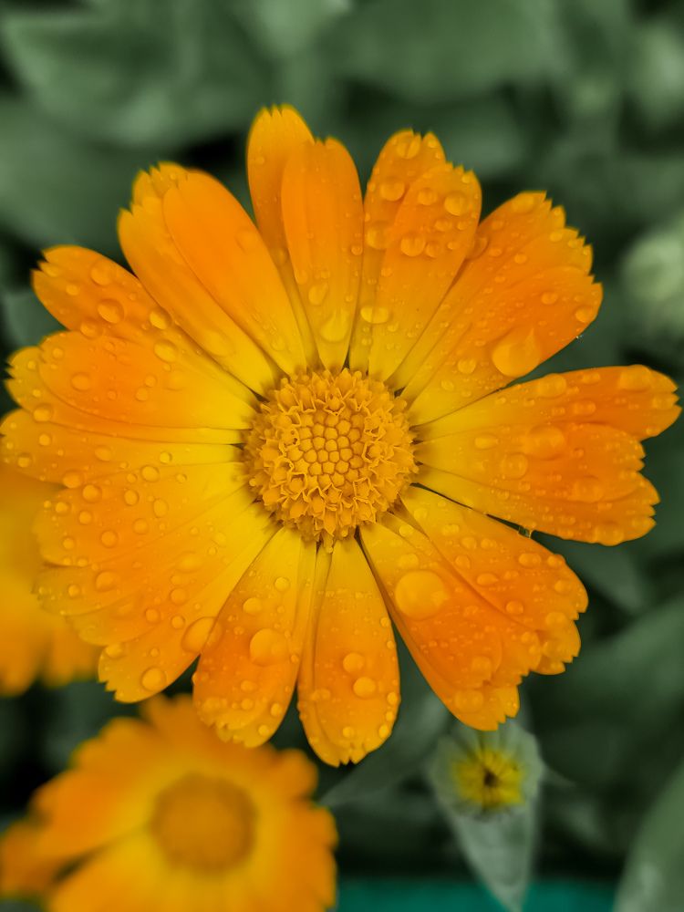 Photograph by Женя Жданова