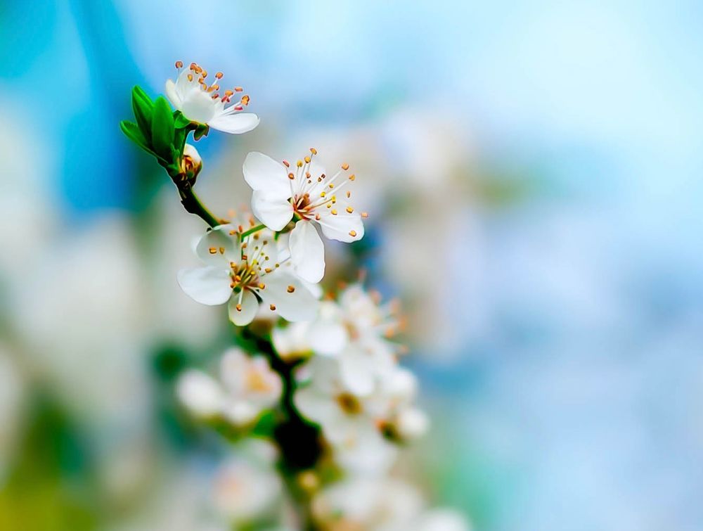 Photograph by ali bakhshi