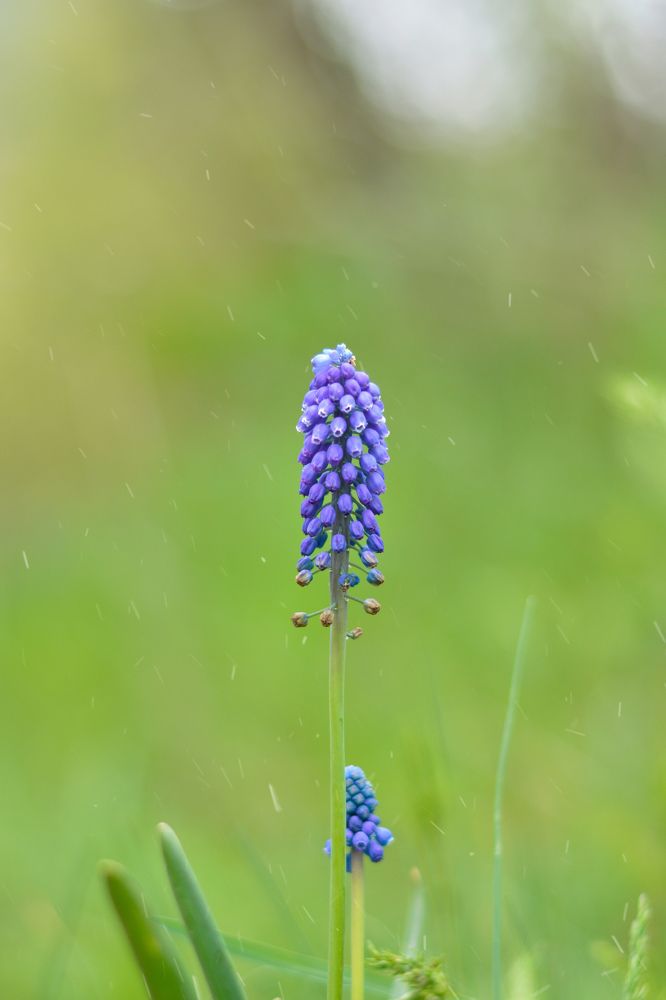 Photograph by ali bakhshi