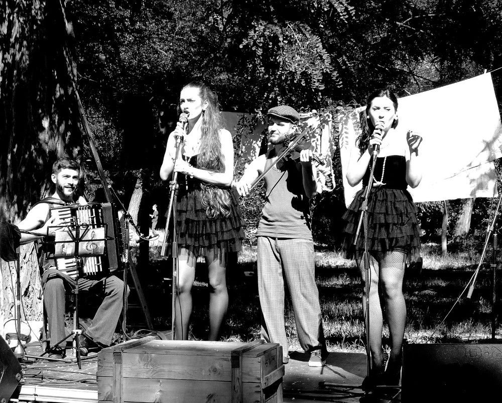 Photograph by Дмитрий Соколов