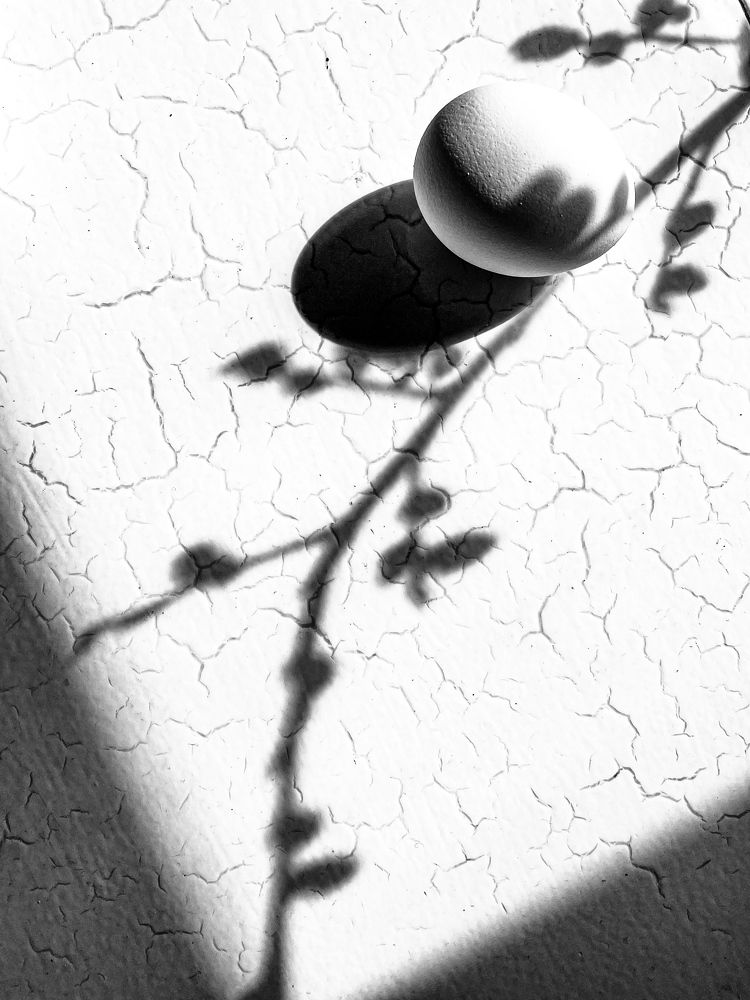 Фотография автора Рамзия Хисамутдинова