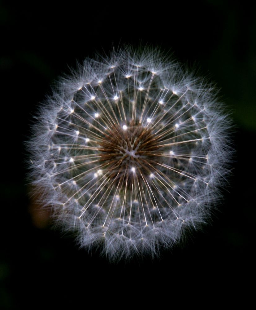 Photograph by Артем Великанов