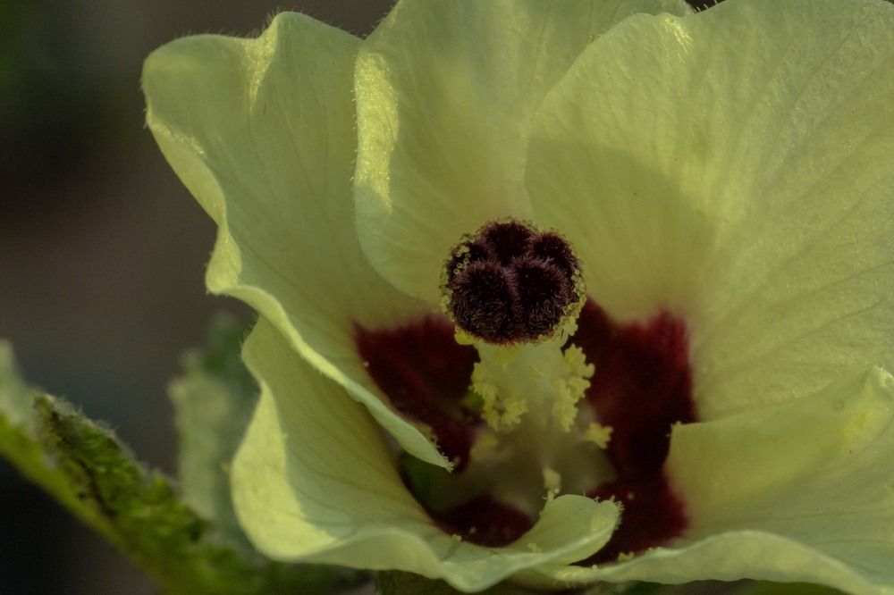 Photograph by Ajith Maniyan