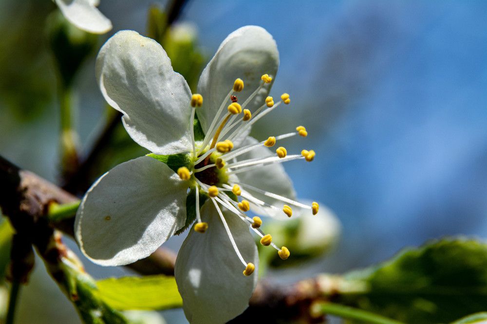 Photograph by Людмила