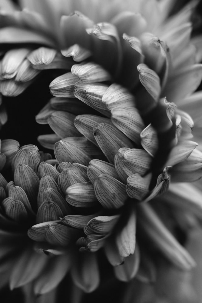 Photograph by Евгения Ерофеева