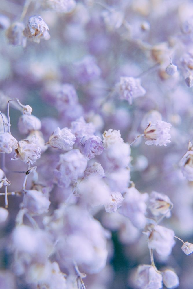 Photograph by Евгения Ерофеева