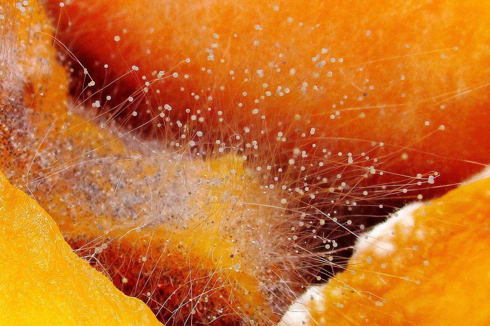 Фотография автора Александр Машников