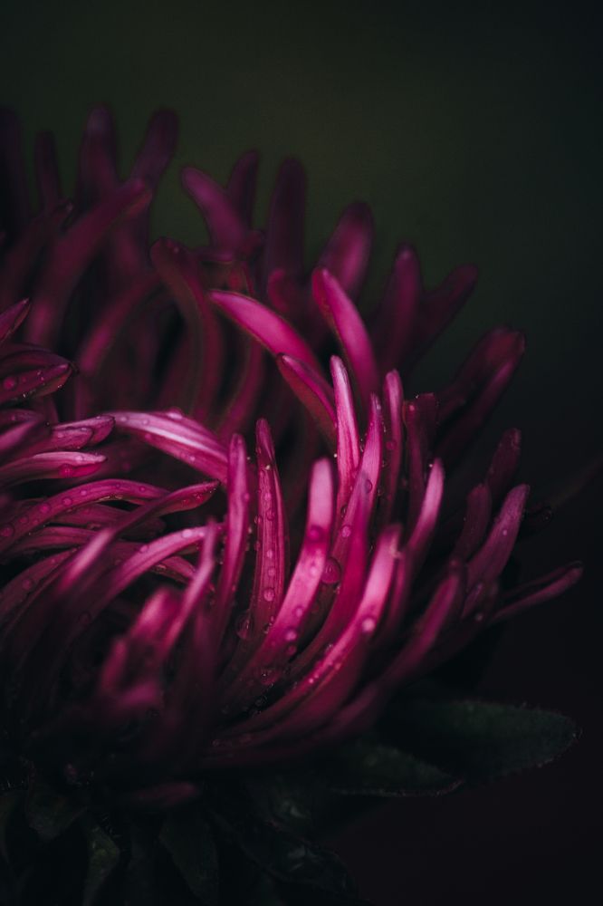 Фотография автора Павел Арсеев