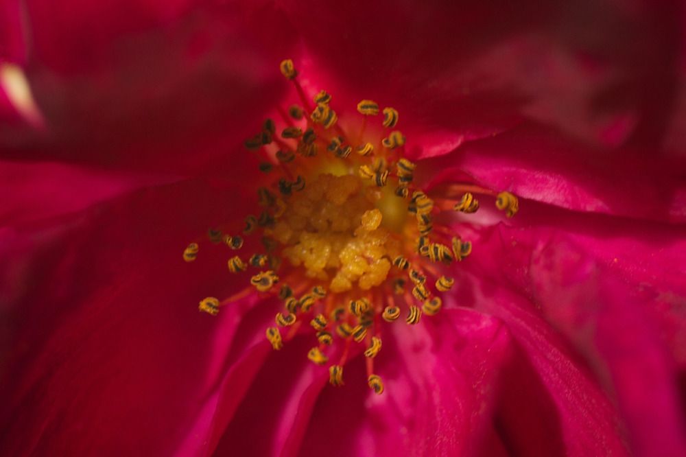 Photograph by Елена Ласун