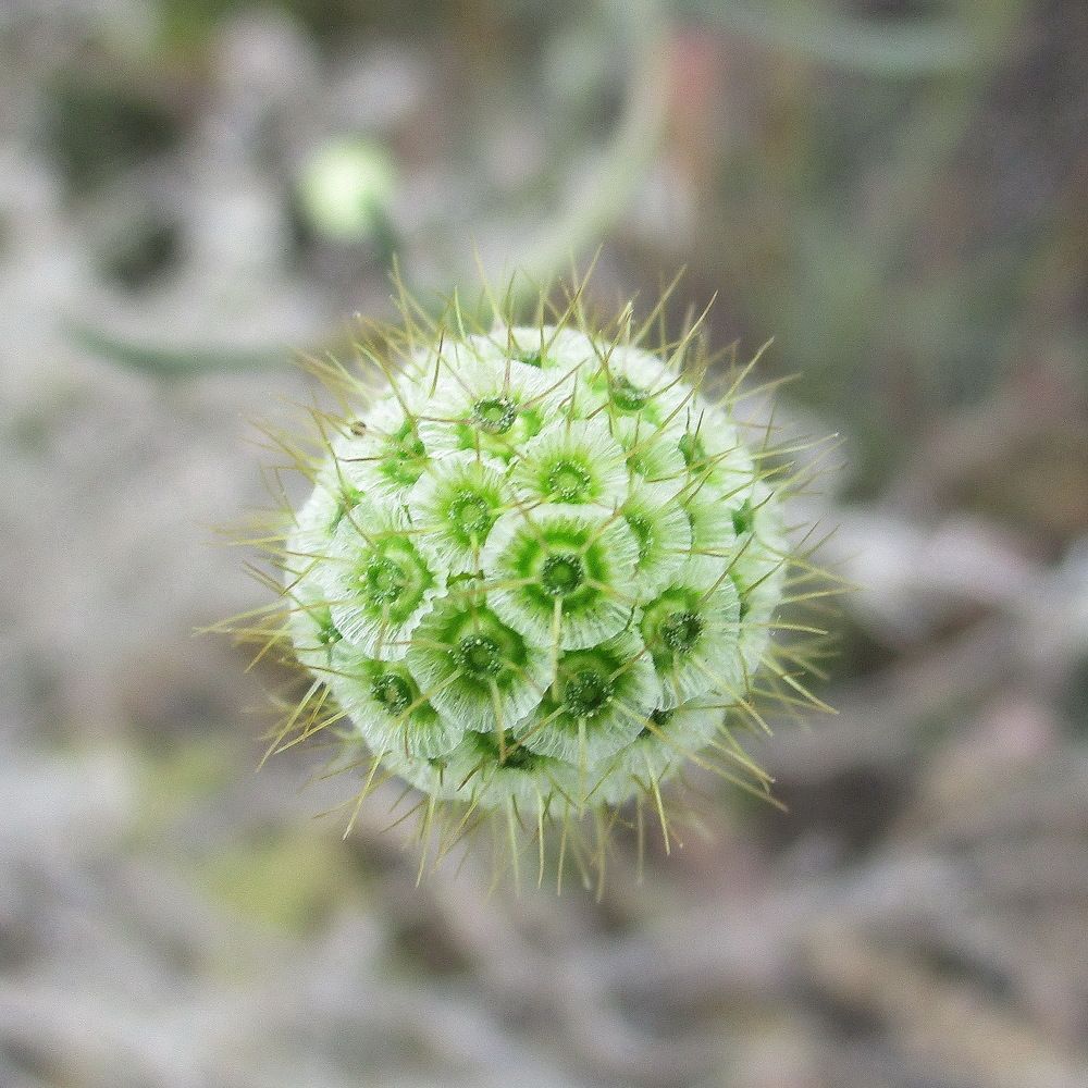 Фотография автора Александр Машников