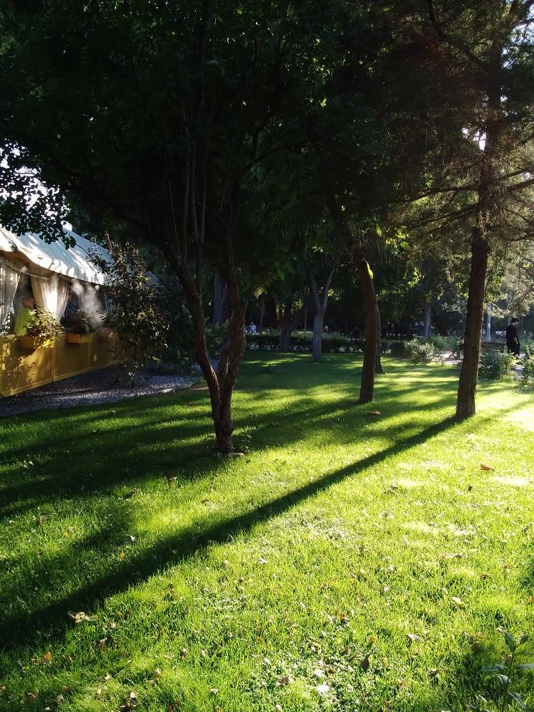 Photograph by Марта Васильева