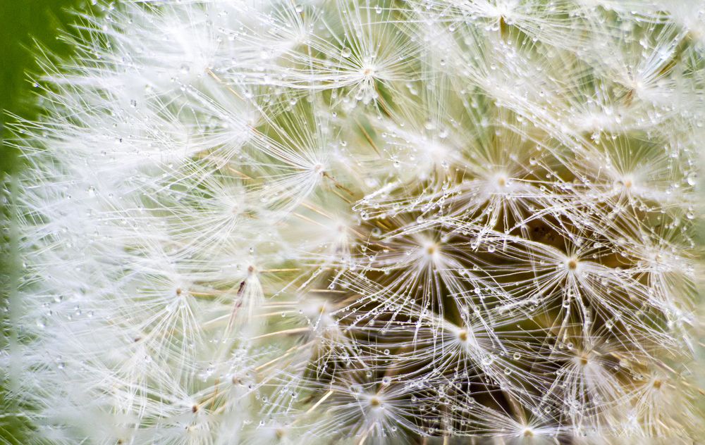 Photograph by Кокорин Алексей