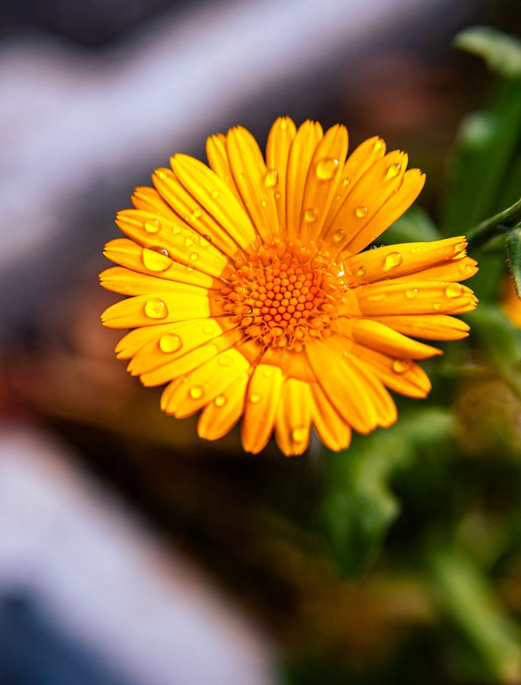 Photograph by Алексей Патрушев