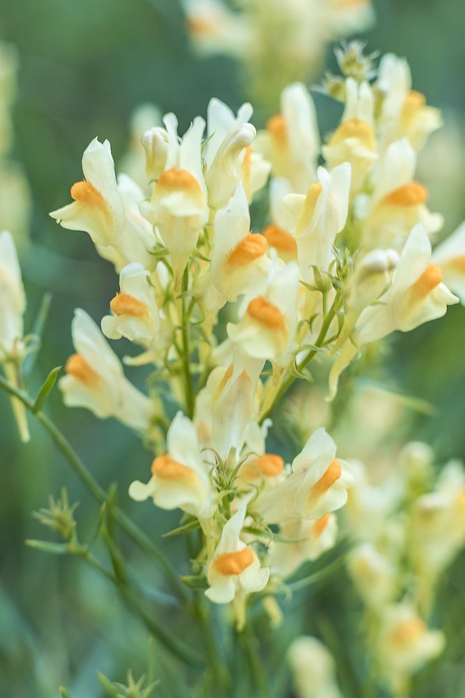 Фотография автора Артём Пышкин