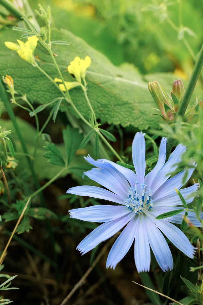 Фотография автора Артём Пышкин