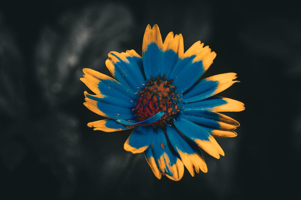 Photograph by Kareem Abo el magd