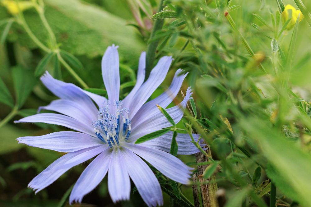 Фотография автора Артём Пышкин