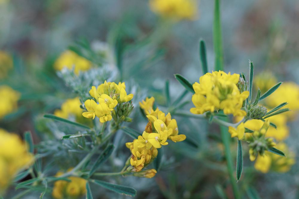 Фотография автора Артём Пышкин