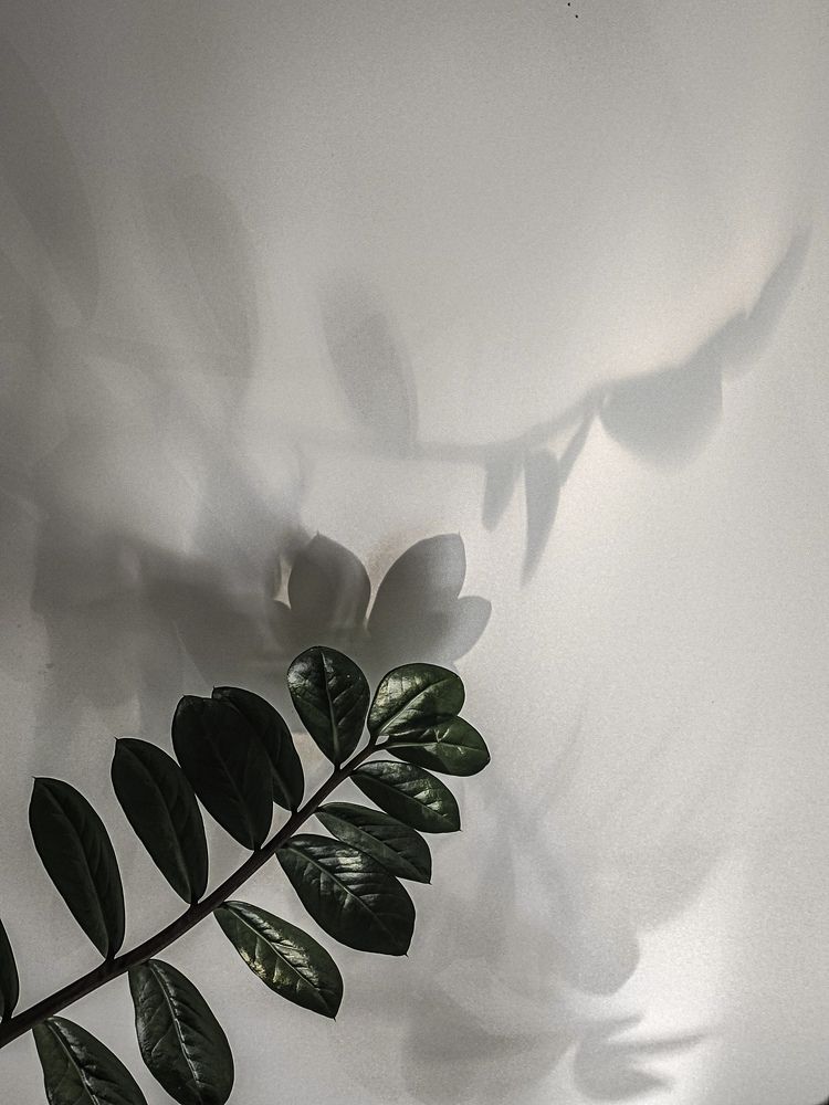 Photograph by Альфия