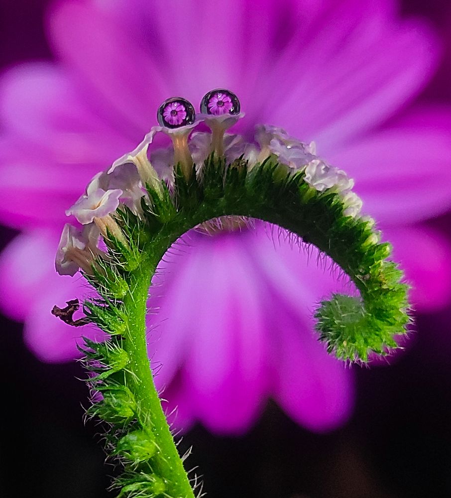 Photograph by Arindam Sahoo