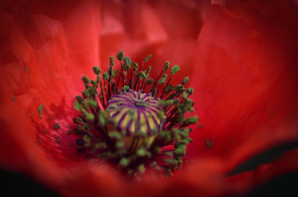 Photograph by Arindam Sahoo