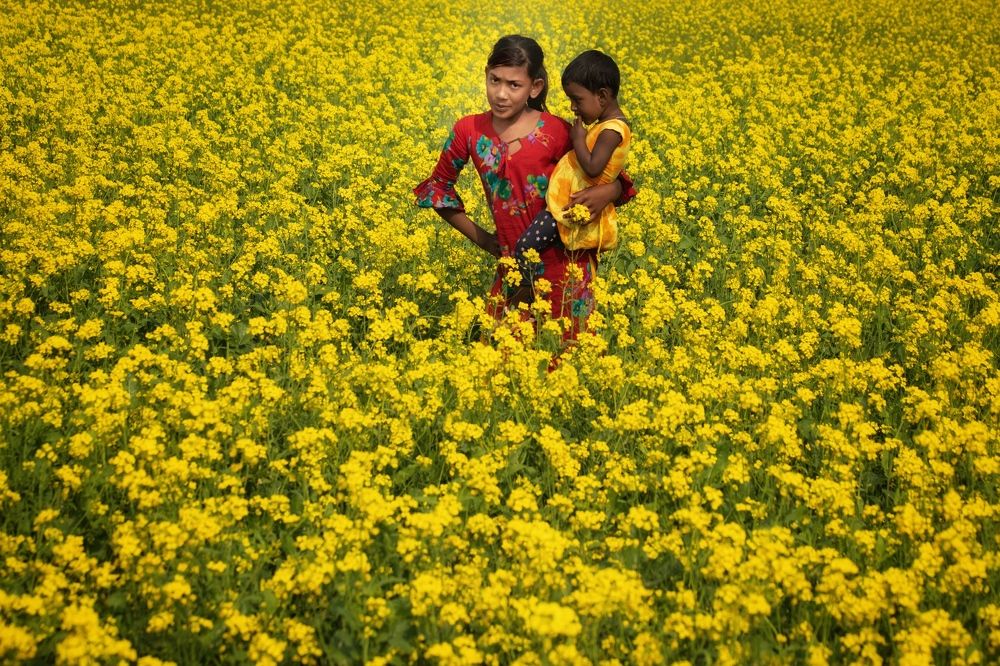 Фотография автора Washiful Majid