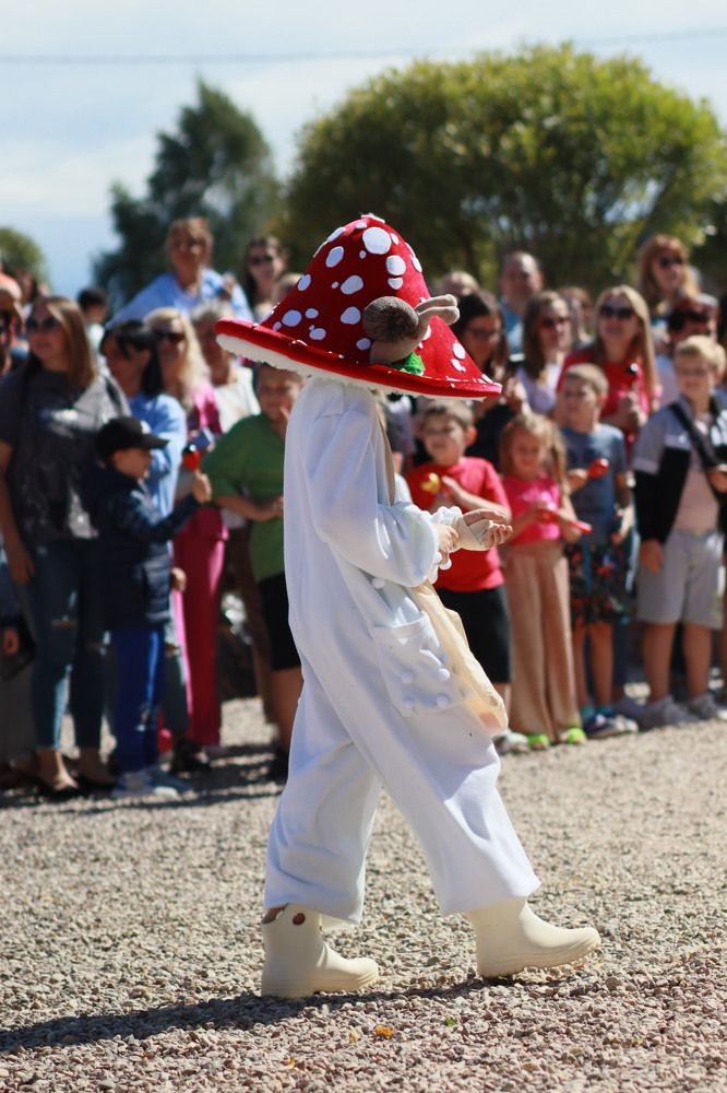 Photograph by Надежда Колтакова