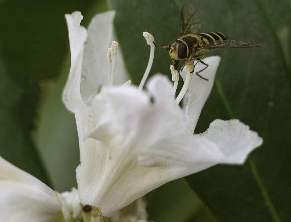 Photograph by Марианна Бессонова