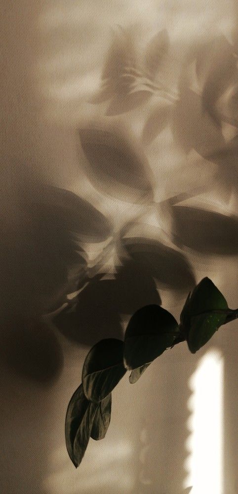 Photograph by Наталья Клячина