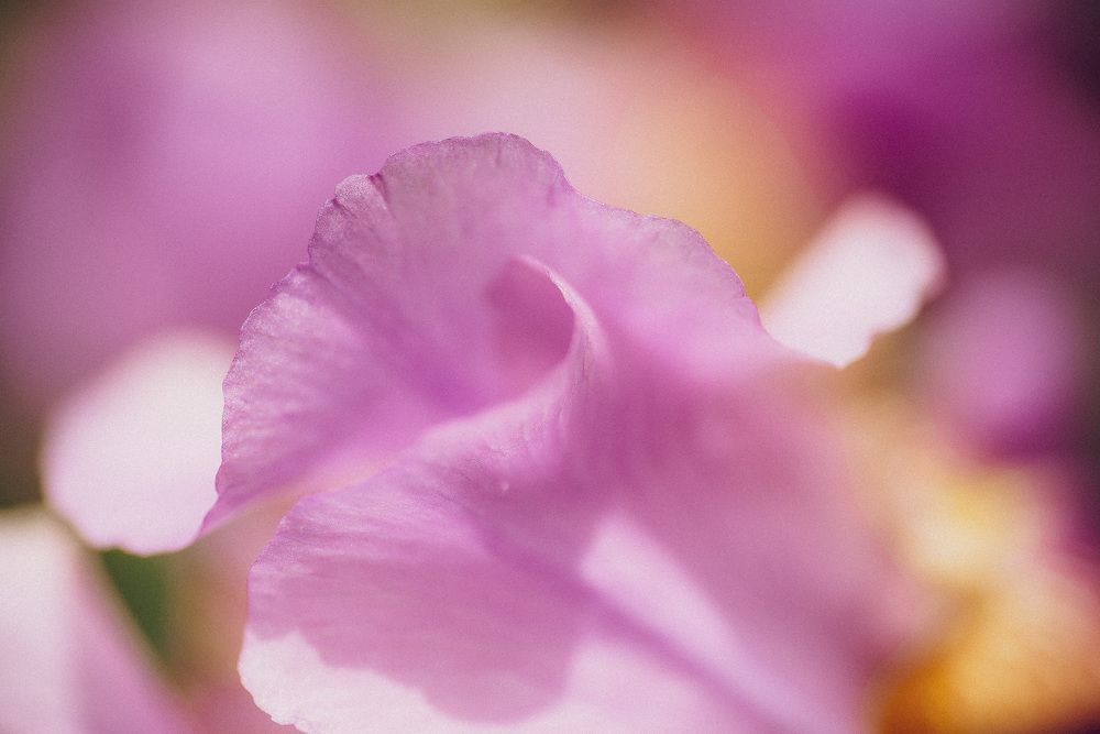 Photograph by Анна Бобкова